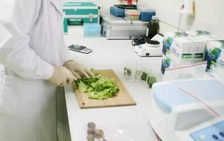 食品重金屬檢測儀，關注食品安全，防范重金屬危害